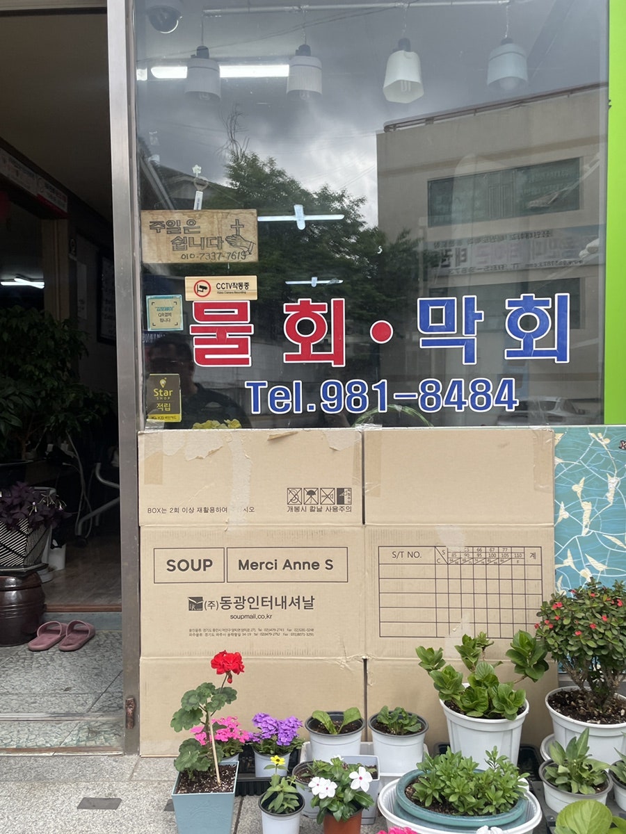 죽변물회막회 사진 5