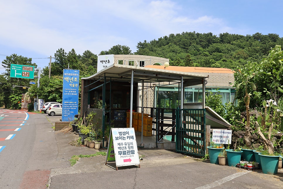 백년초박물관 사진 2