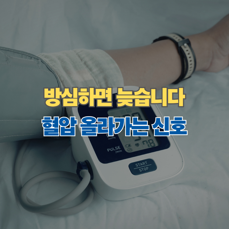  혈압 정상인데 방심 금물? 지금 나타나는 고혈압 초기 신호 5가지