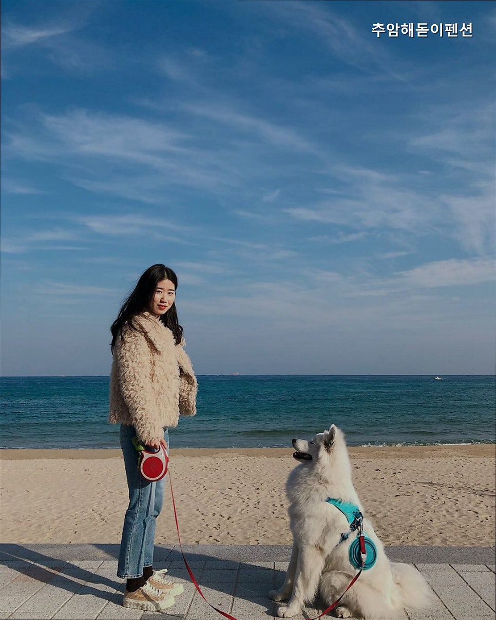 추암해돋이펜션 사진 3