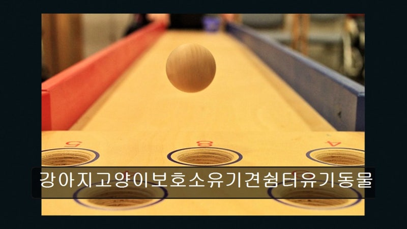 사진 7