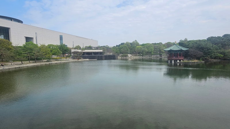 사진 6