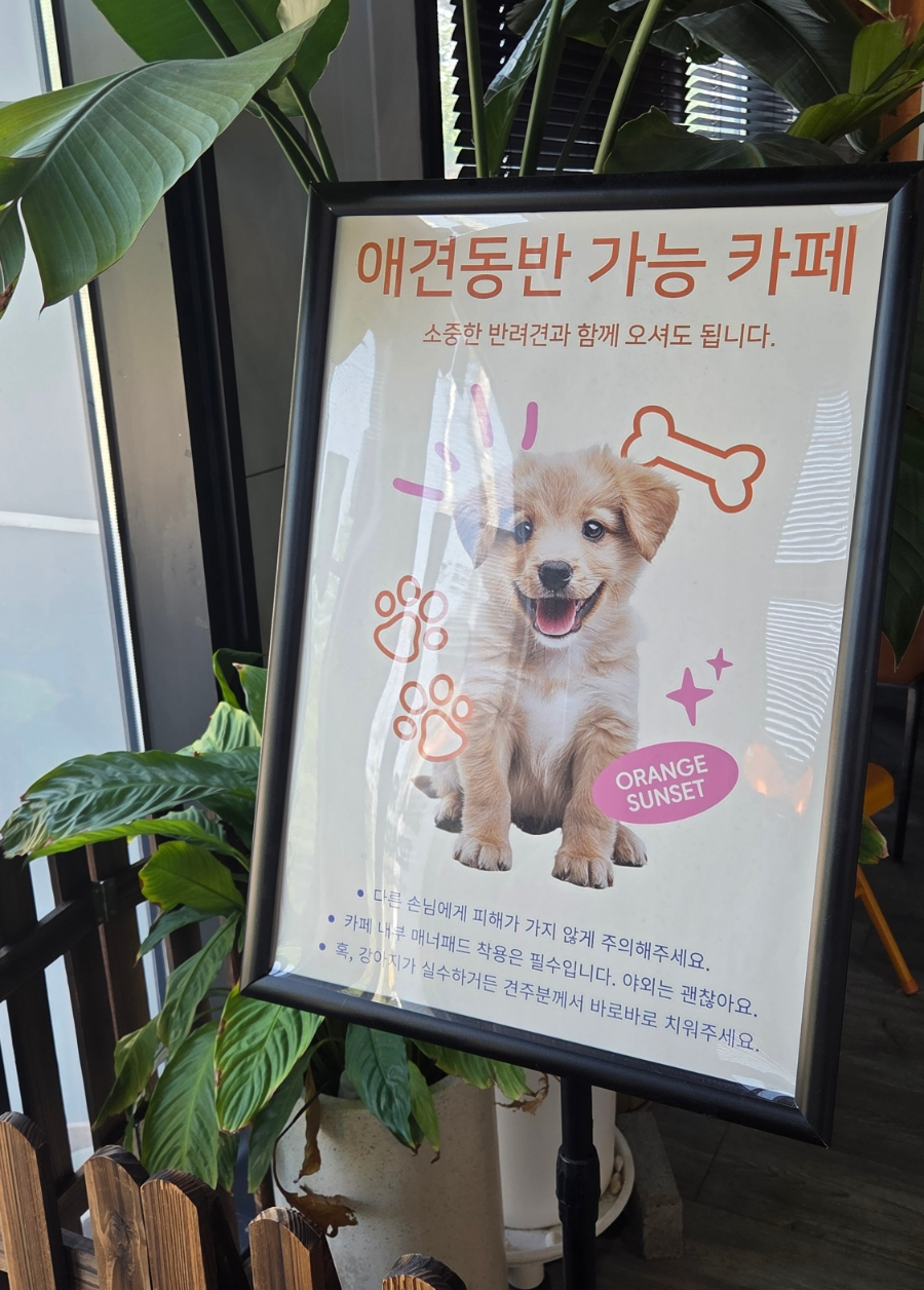 오렌지선셋 사진 2