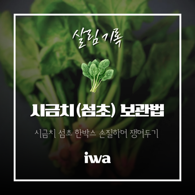 시금치 섬초 4kg 박스째 구매, 데쳐서 '냉동보관'할 때 중요한 디테일 완벽정리!