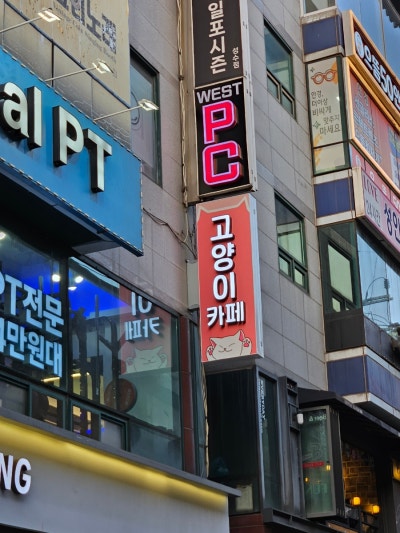 사진 2