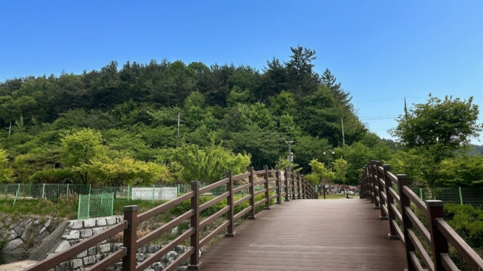 모악산캠핑파크 사진 5