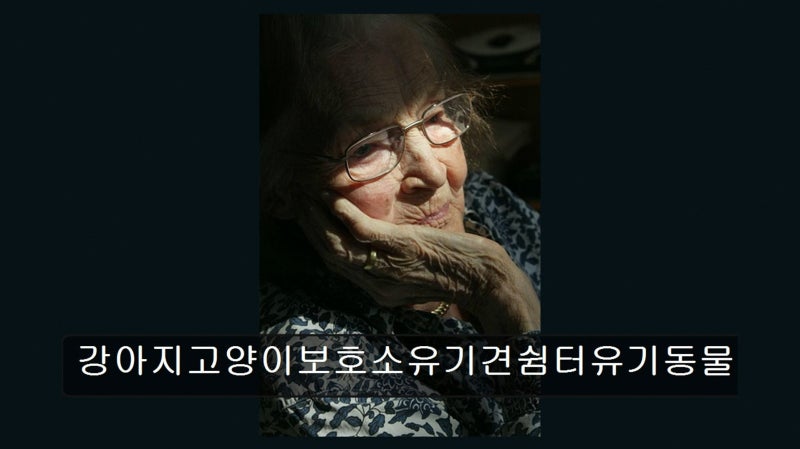 사진 9
