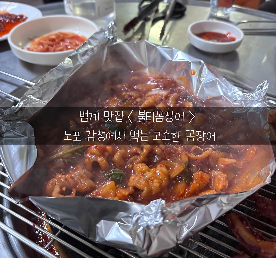 불티꼼장어 사진 1