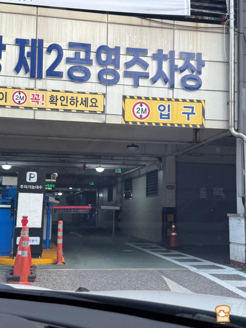 강릉 중앙시장 주차꿀팁 제2공영주차장 주말 요금 할인