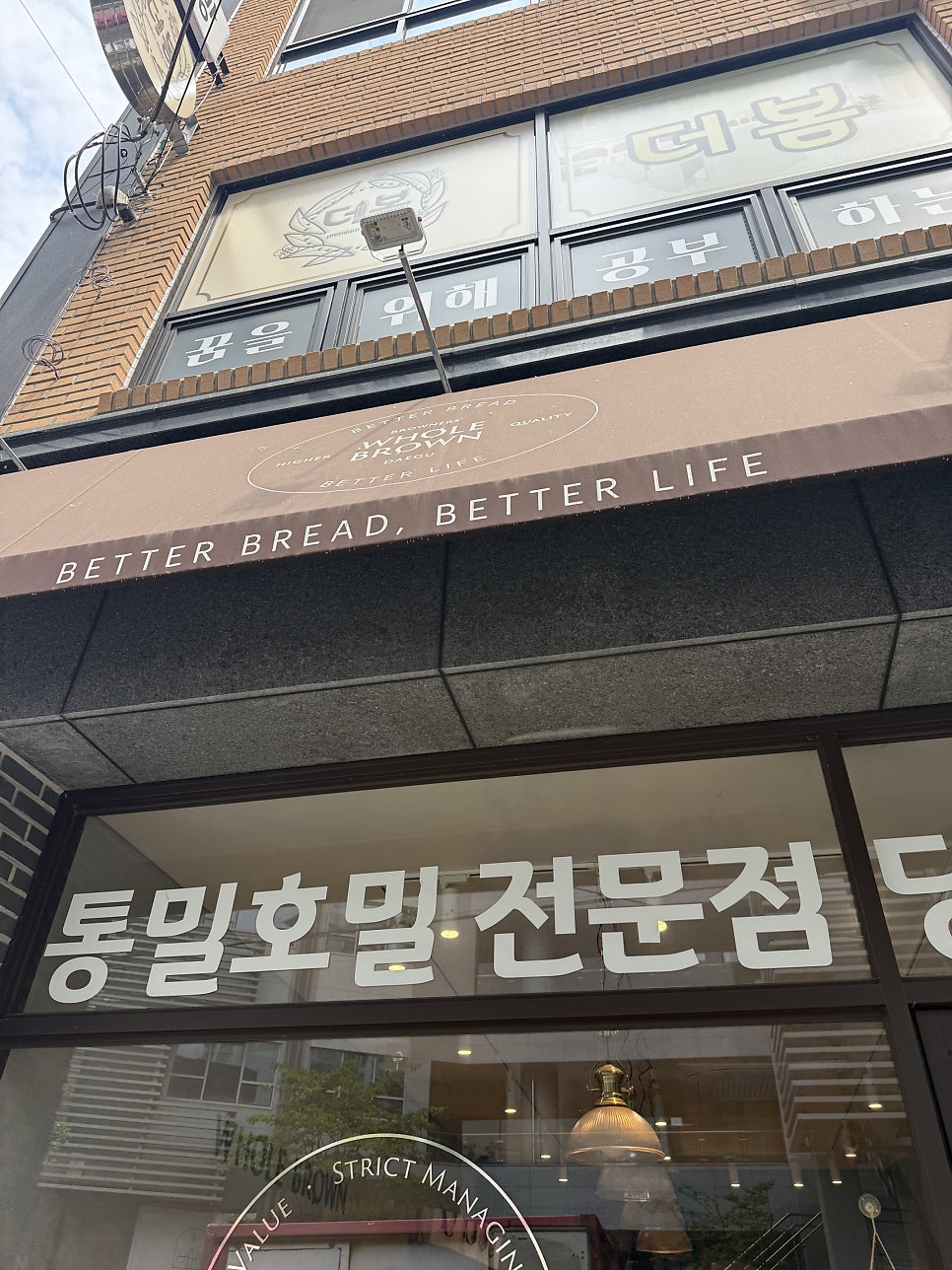 홀브라운 대구 사진 2