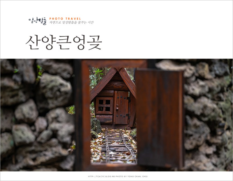 사진 3