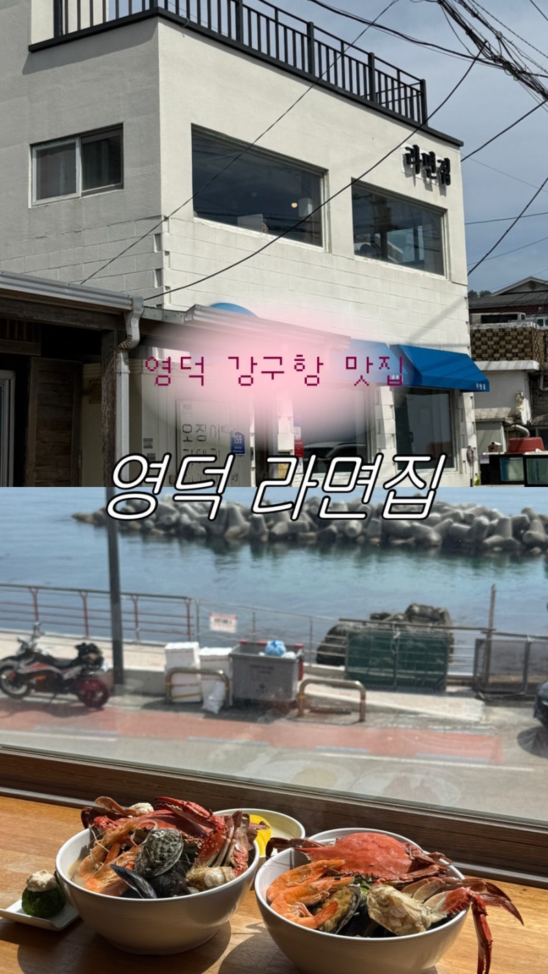 사진 5