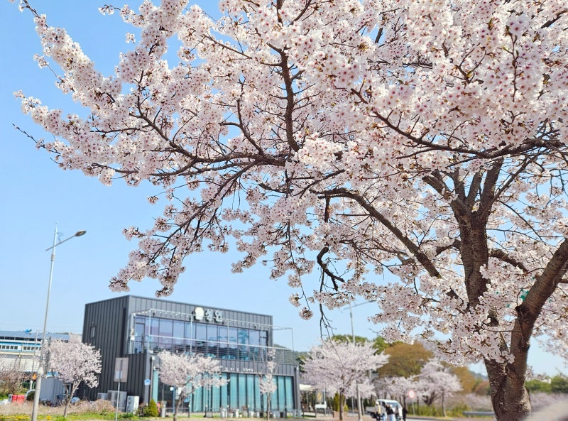 사진 3