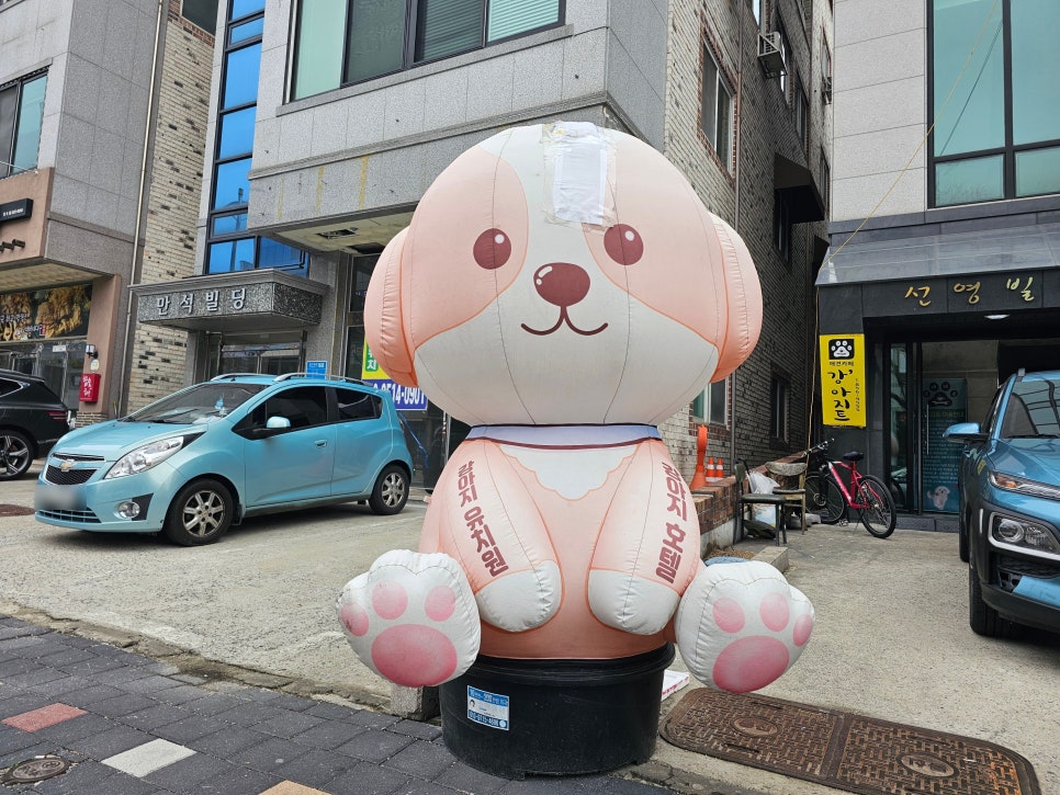 강아지트 사진 1