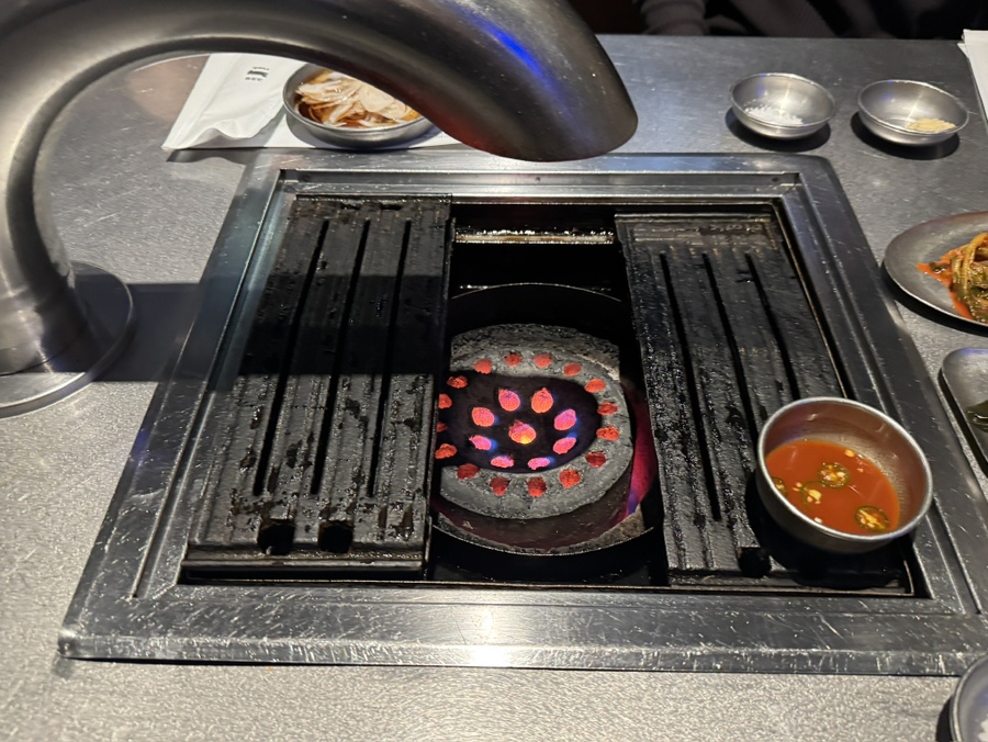 다프 사진 6