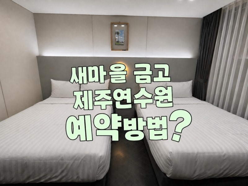 제주도 가성비 숙소ㅣMG 새마을금고 제주연수원 가격, 예약방법 및 예약꿀팁