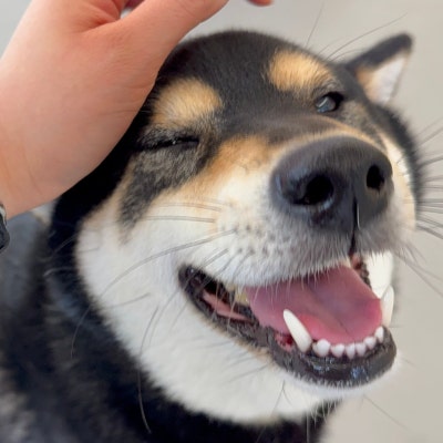 사진 7