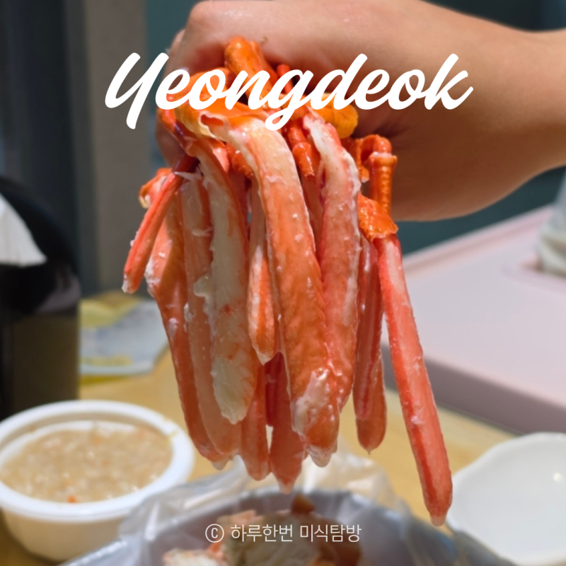 영덕대게 맛집 홍게 시세 포장 택배 가능한 바른수산 영덕 먹거리