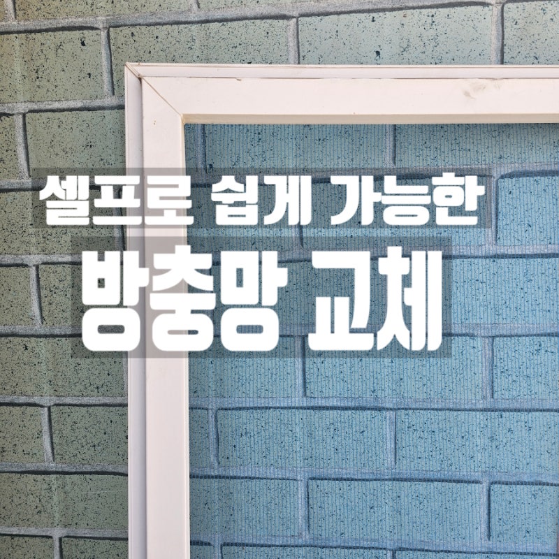 셀프 방충망 교체 방법 직접 해본 후기