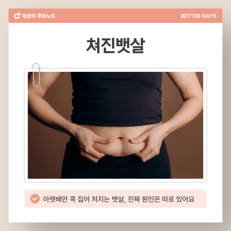 쳐진뱃살, 운동해도 절대 안 빠지는 '이 부위' 뱃살의 소름 돋는 진짜 원인