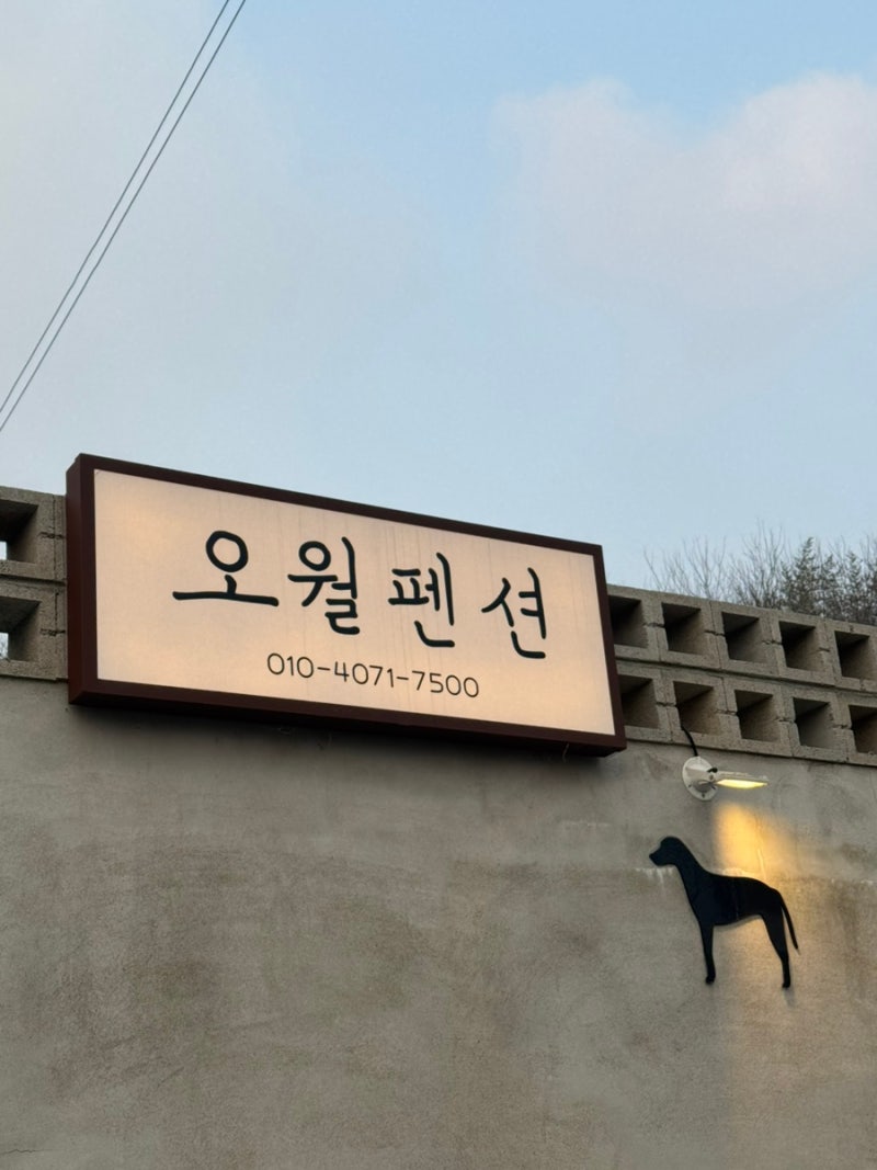 사진 7