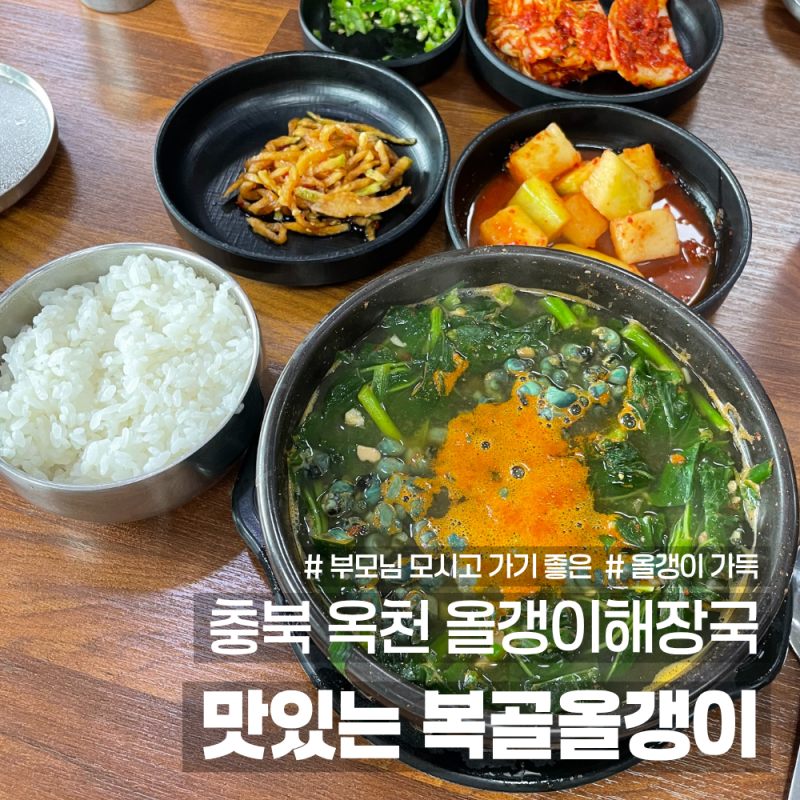 충북 옥천 올갱이해장국 맛집 부모님 모시고 가기 좋은 식당 맛있는 복골올갱이