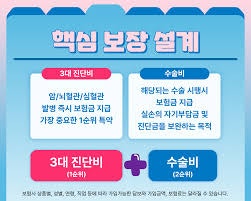 인생에서딱3가지보험이면충분하다-실손3대질병정기보험으로핵심리스크완벽방어보험은저축....