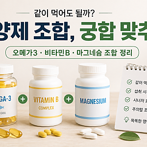 오메가3 비타민B 마그네슘 같이 먹어도 될까? 영양제 조합과 섭취시간 정리