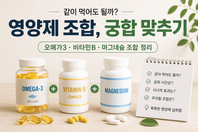 오메가3 비타민B 마그네슘 같이 먹어도 될까? 영양제 조합과 섭취시간 정리