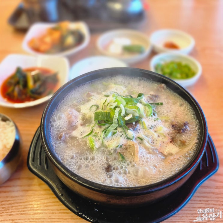  용인 순대국 맛있는곳 고림동 팔팔토종순대국