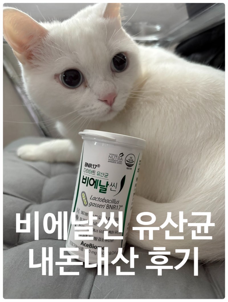 비에날씬 내돈내산 솔직후기/BNR17/다이어트 유산균
