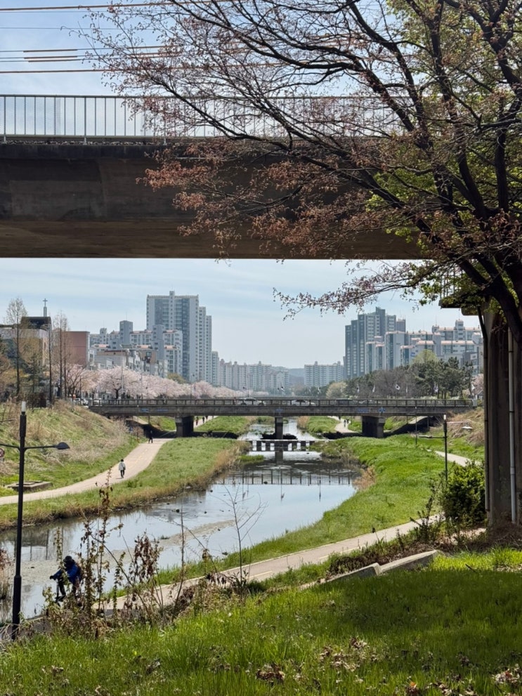  2026년 4월 일상 (2)