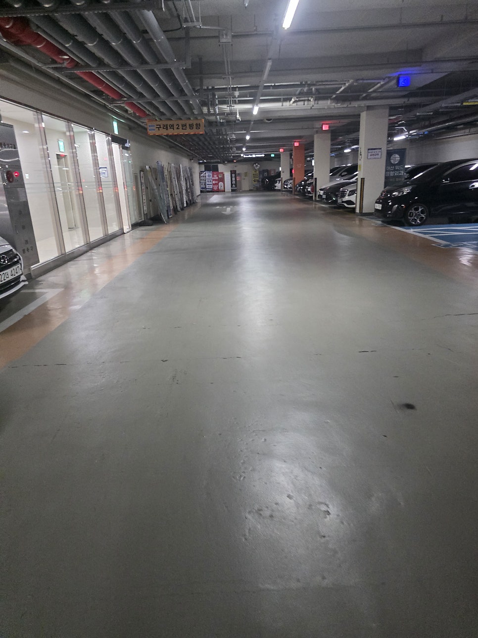 스타푸릇 사진 5