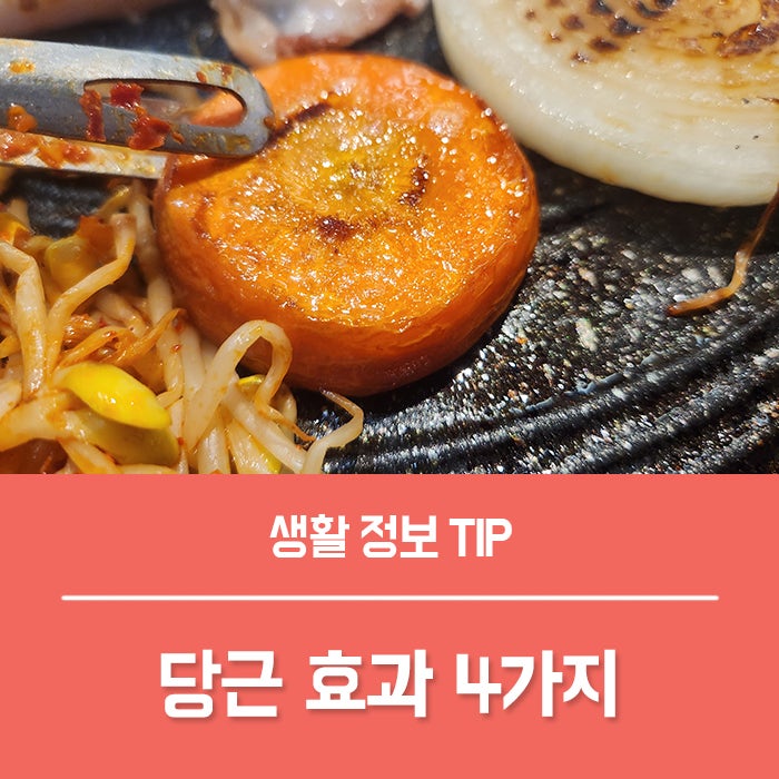 당근 효능 4가지, 당근 쥬스 효능 부작용 아침 한 잔이 중요한 이유