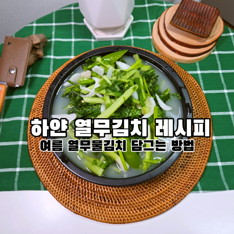 물열무김치 만드는 방법 알토란 어린이 백물김치 담그기 레시피