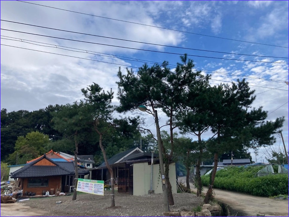 부흥로 620 거인 사진 4
