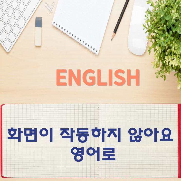  오늘의 영어회화 스터디 화면이 작동하지 않아요 영어로