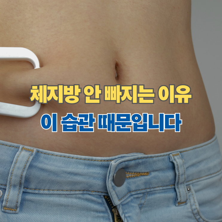  체지방 안 빠지는 이유, 대부분 놓치는 습관 5가지