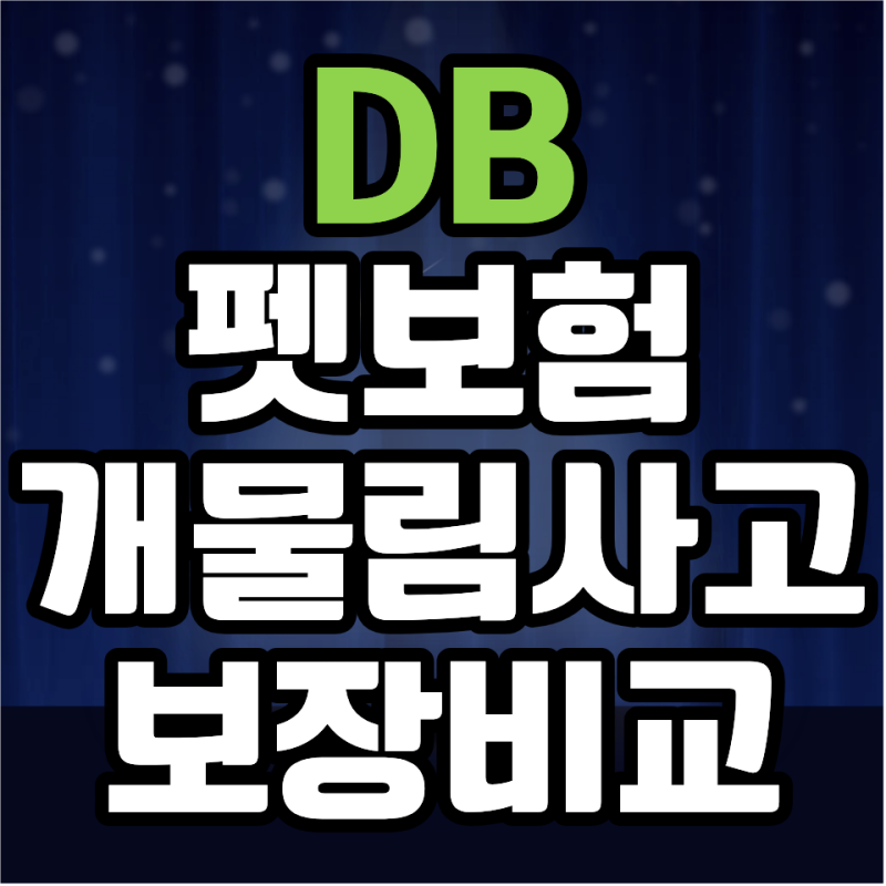 디비펫보험 괜찮을까? 펫보험 비교 기준으로 제대로 정리