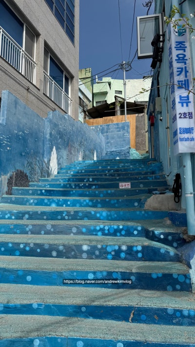 사진 7