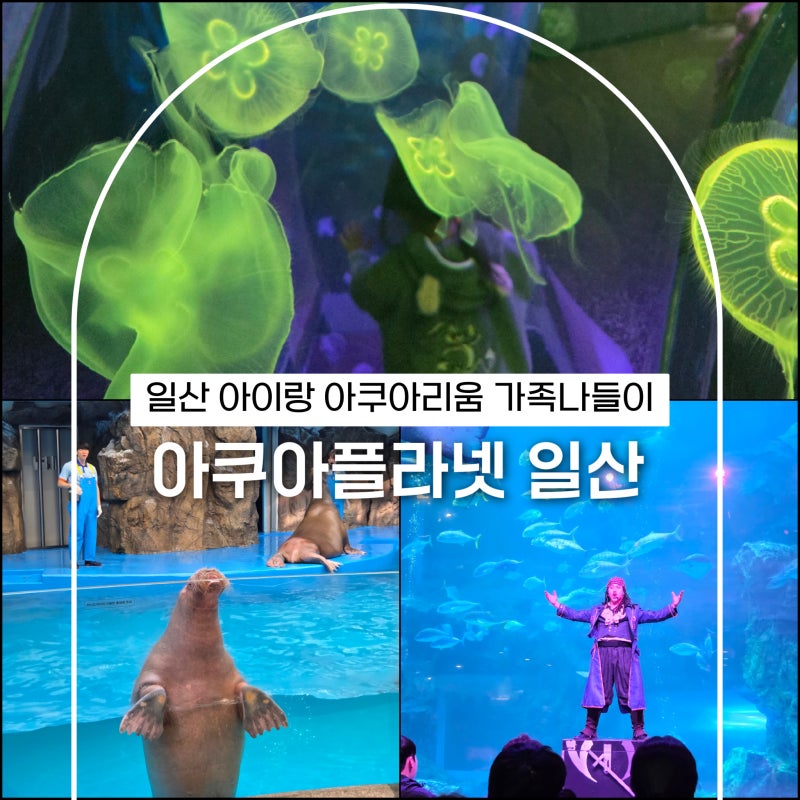 일산 아이랑 아쿠아리움 가족나들이 아쿠아플라넷 할인 묶코스 정보