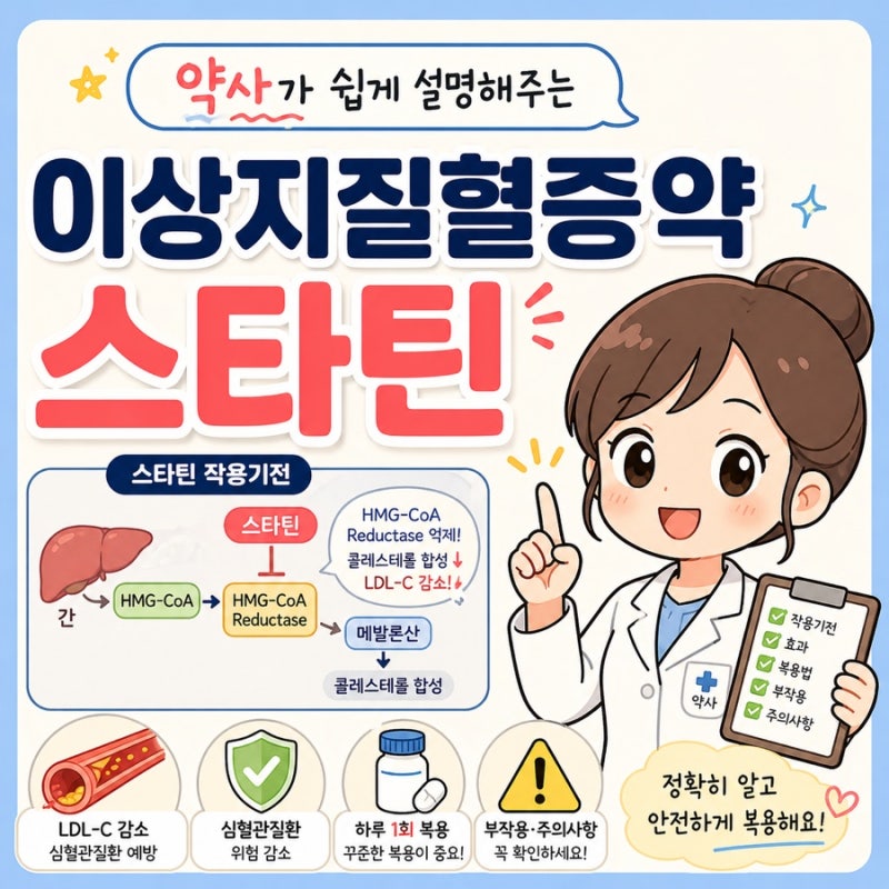 [자세한 복약지도] 약사가 쉽게 설명해주는 이상지질혈증약 '스타틴'