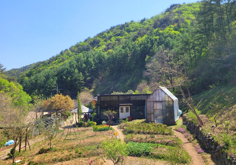 사진 5