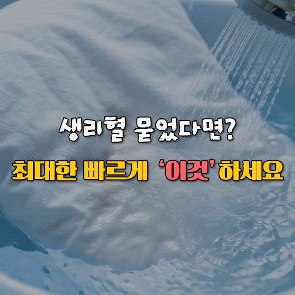 생리혈 묻었다면? 최대한 빠르게 '이렇게'하세요 피지우는법