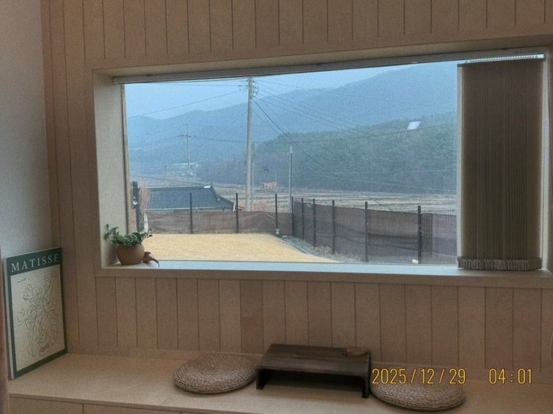 사진 2