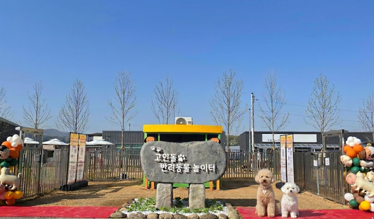  인천 강화도 애견운동장 갈만한곳ㅣ고인돌 반려동물 놀이터 무료 개장 (주차/펫패스/이용꿀팁)