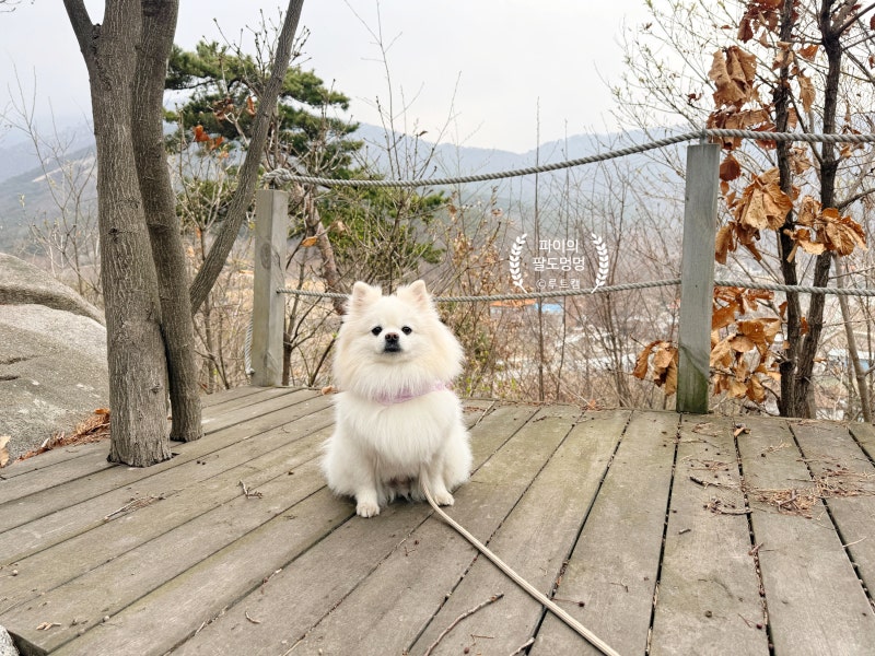 사진 7