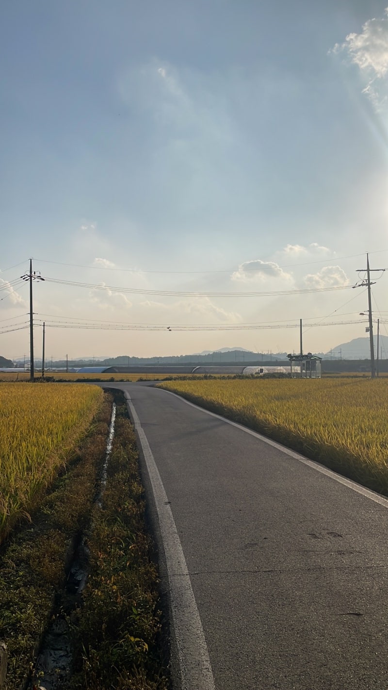전원일기 사진 2