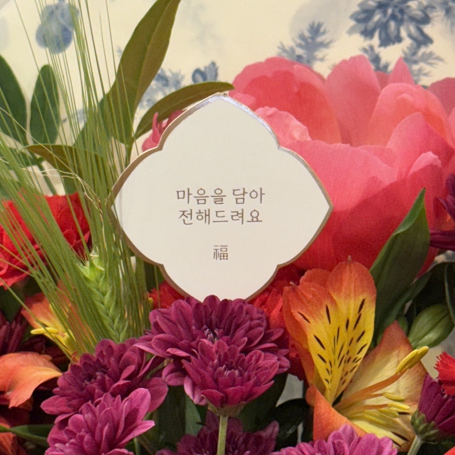 헤세드 사진 6