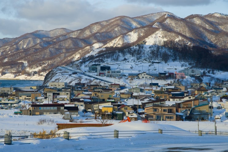 홋카이도 감성 여행, 비에이·후라노 1일 버스투어 총정리